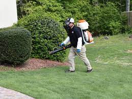 Comprehensive Outdoor Solutions: Fertilization, Weed Control, Pest Control, and Landscaping Services post thumbnail image