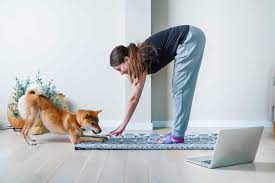 From Mis behavior to Good Behavior: Modern Online Dog Training Solutions post thumbnail image