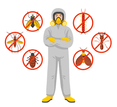 Las Vegas Pest Control: Keeping Your Home Bug-Free post thumbnail image