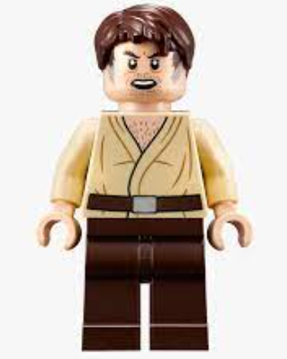Unleashing the Force: The Thrilling World of Star Wars Minifigure Collecting post thumbnail image