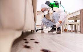 Discover Affordable and Efficient Pest Prevention Solutions in Las Vegas post thumbnail image