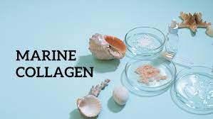 Collagen supplements and the things they can be used post thumbnail image