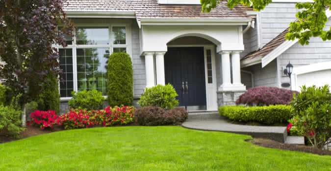 Achieve a Picture-Perfect Lawn with Denver’s Expert Maintenance Team post thumbnail image