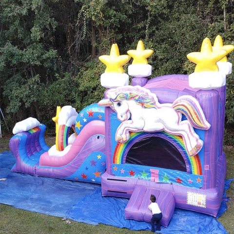 Inflatable Rentals in Allenhurst, GA: Adding Excitement to Your Party post thumbnail image