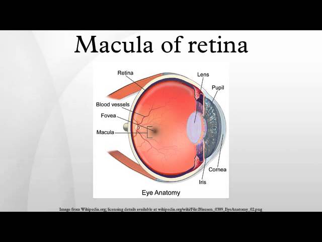 Macular Pucker: Signs and symptoms, Diagnosis, and Treatment method post thumbnail image