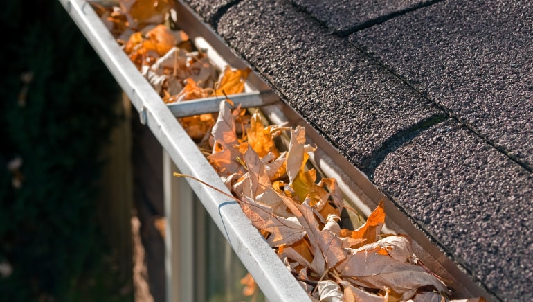 Gutter Cleaning Price Breakdown: Understanding the Services Included post thumbnail image