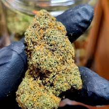 Receive the best Bargains on Weed with higher-quality cannabis’s Leading Online Stores for all of your Container Demands post thumbnail image