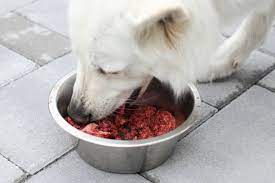 Canine Culinary Excellence: Exploring the World of Raw Dog Food post thumbnail image