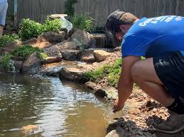 Pond Perfection: Routine Maintenance for a Flourishing Ecosystem post thumbnail image