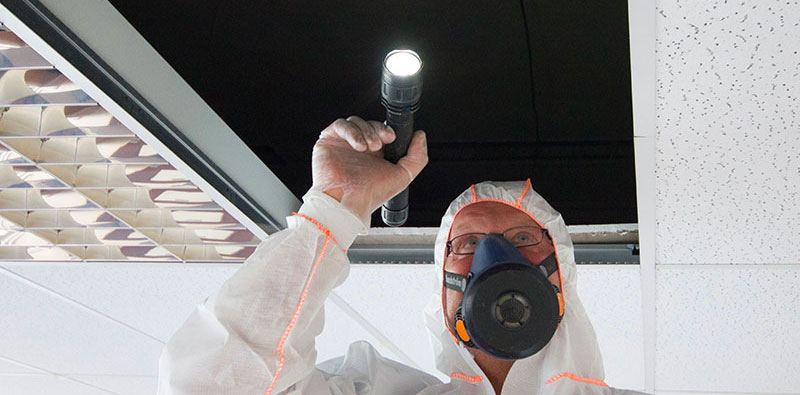 Comprehensive Asbestos Surveys: Ensuring Safety Standards post thumbnail image